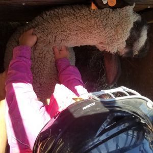 Meet your Posher, Lee